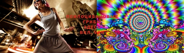 PSILOCYBIN Арсеньев