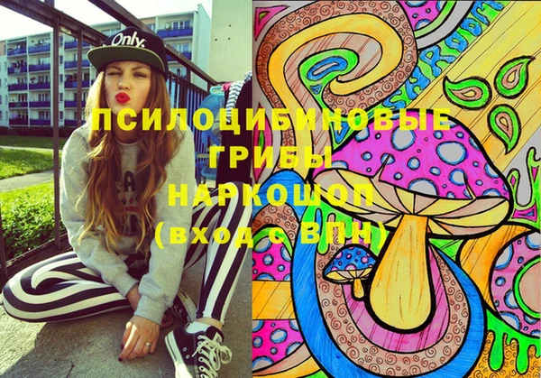 PSILOCYBIN Арсеньев